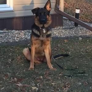 Meet your Posher, Myra